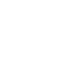 Real Estate Agent Websites